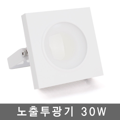 LED 노출투광기 30W