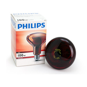 필립스 적외선램프 100W